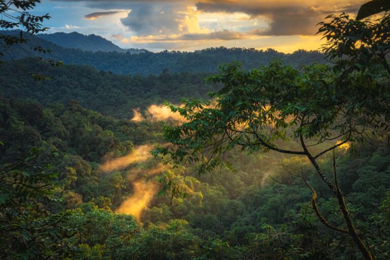 Mashpi Lodge – Luxury and Adventure in the Cloud Forest of Ecuador